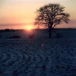 Wintersonnenuntergang, Essex